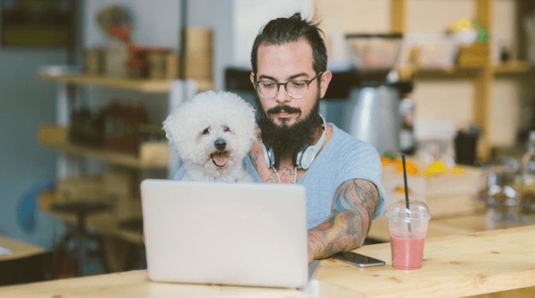 Top best dog training websites