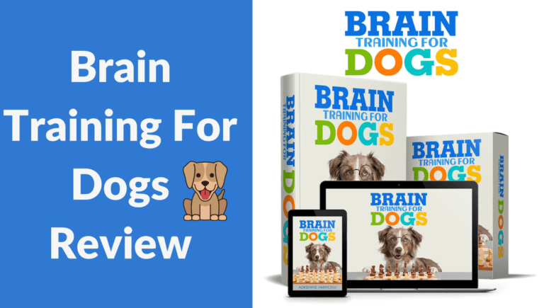 Brain training for dogs where to buy