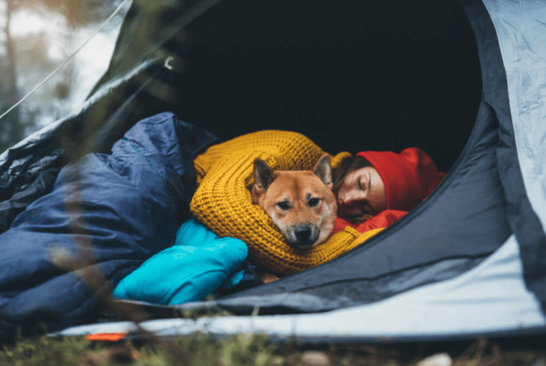How to keep a dog warm while camping