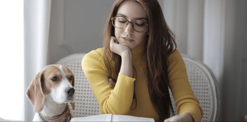 Brain training for dogs where to buy