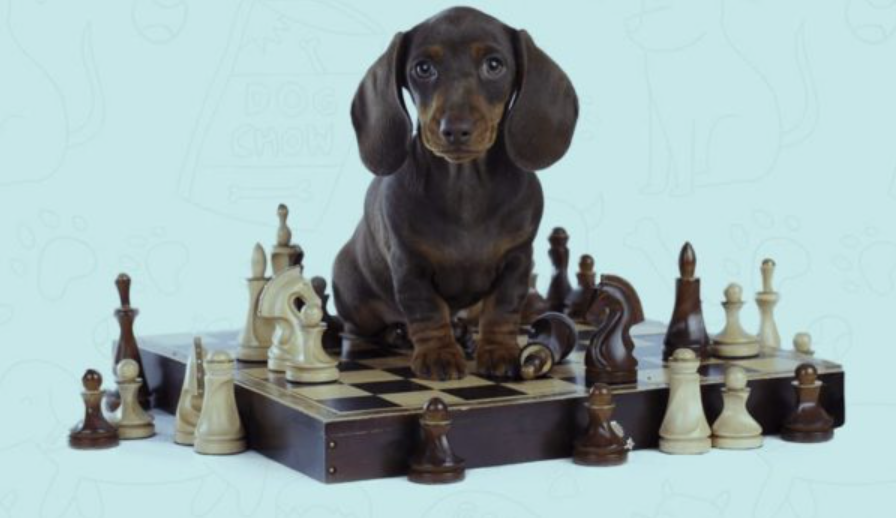 Brain training for dogs where to buy